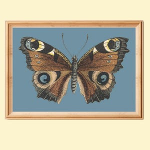 Vintage Butterfly Print, Antique Moody Insect Wall Art, Printable Cottagecore Home Decor, Instant Download