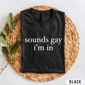 Sounds Gay I&#39;m In Funny Pride Shirt, Bisexual Pride, Bi Pride, LGBTQ Shirt, Pride Month Tee, Lesbian Pride, Gay T-shirt, Lesbian Shirt