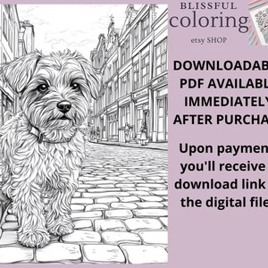 May include: Black and white line art illustration of a small dog walking down a cobblestone street in a city. The dog is looking directly at the viewer. The text "BLISSFUL coloring etsy SHOP" is at the top of the image. The text "DOWNLOADABLE PDF AVAILABLE IMMEDIATELY AFTER PURCHASE" is in the middle of the image. The text "Upon payment, you'll receive a download link to the digital files" is at the bottom of the image.