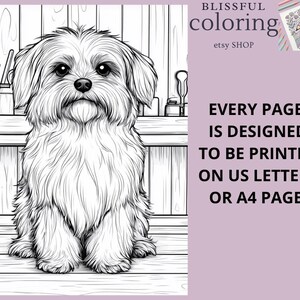May include: Black and white line art illustration of a small dog sitting on a wooden surface. The dog has a fluffy coat and is looking directly at the viewer. The image is suitable for coloring.