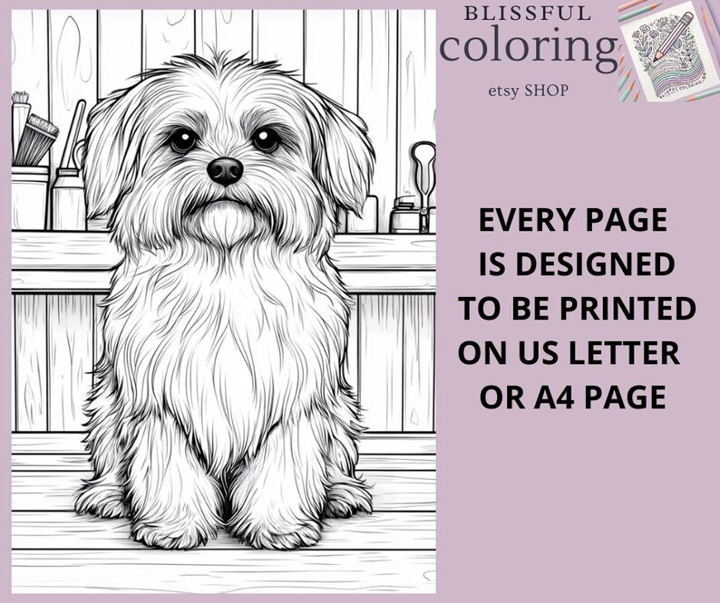 May include: Black and white line art illustration of a small dog sitting on a wooden surface. The dog has a fluffy coat and is looking directly at the viewer. The image is suitable for coloring.