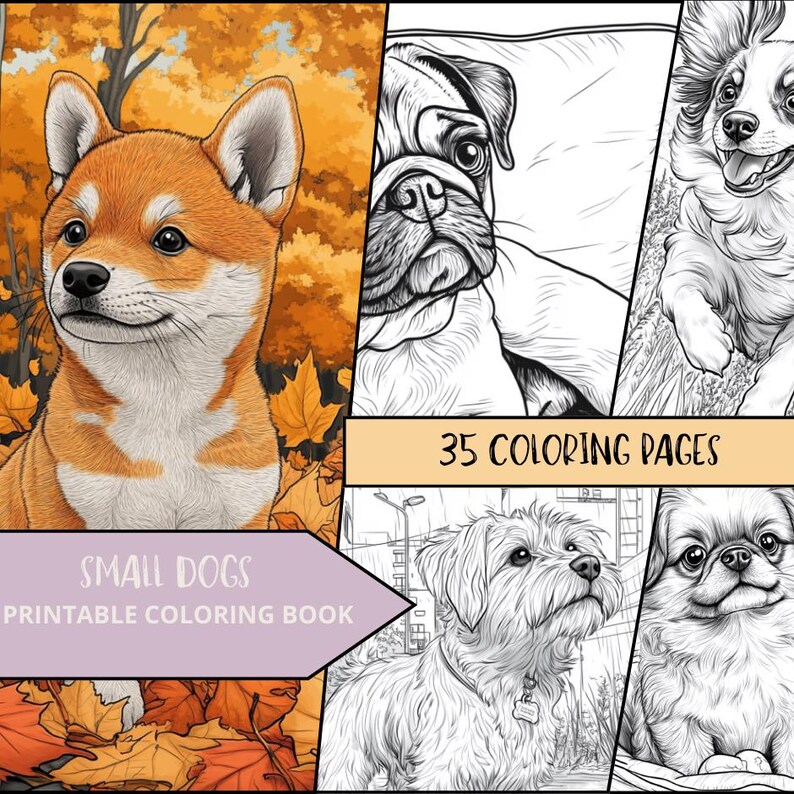 May include: A printable coloring book featuring 35 coloring pages of small dogs. The cover features a Shiba Inu puppy in a fall setting with orange, yellow, and red leaves.