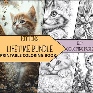 Cat Coloring Page, Xmas Coloring Pages, Printable Digital Download, Adult Cat Coloring Pages, Cute Kittens Coloring, Cats for Coloring