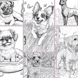 May include: Black and white line drawings of various dog breeds. The dogs are depicted in different poses and settings, including a pug lying down, a papillon standing, a chihuahua standing, a Pekingese sitting, a Yorkshire Terrier sitting, and a terrier mix standing.