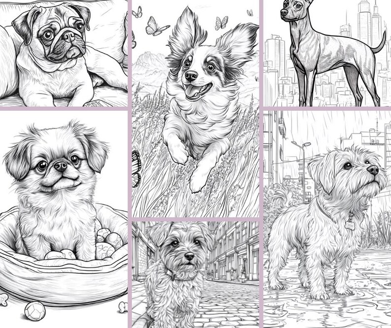 May include: Black and white line drawings of various dog breeds. The dogs are depicted in different poses and settings, including a pug lying down, a papillon standing, a chihuahua standing, a Pekingese sitting, a Yorkshire Terrier sitting, and a terrier mix standing.