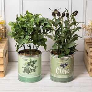 Peut inclure: Deux plantes décoratives en pot. L'une présente de luxuriantes feuilles de menthe verte dans une boîte avec le texte "Mint". L'autre a des branches d'olivier dans une boîte avec le texte "Olive Natural Oil". Les deux boîtes sont vert clair avec un design vintage.