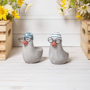 Peut inclure: Deux figurines de canard grises avec des becs oranges et des lunettes à monture noire. L'un porte un bonnet bleu à pois, l'autre un bonnet rayé bleu et blanc. Articles de décoration.