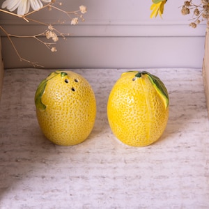 Lemon Salt & Pepper Pots Ceramic Shaker Cruet Set Fruit Shaped Glazed Stoneware