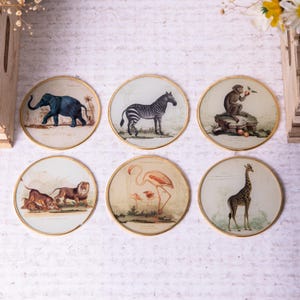 6 x Vintage Safari Animal Glass Coasters Giraffe Lion Elephant Zebra Gold Edge