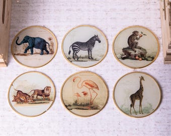 6 x Vintage Safari Animal Glass Coasters Giraffe Lion Elephant Zebra Gold Edge