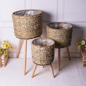 May include: Three woven wicker plant pots with wooden legs. The pots are of different sizes and are arranged in a staggered formation. The largest pot is at the back, the medium pot is in the middle, and the smallest pot is at the front.