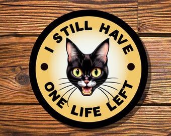 Black Cat Sticker: Funny Waterproof Vinyl Decal for Laptop, Water Bottle