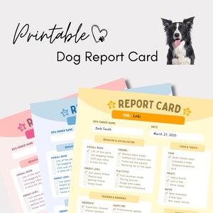 Tarjeta de calificaciones imprimible para perros, plantilla para negocios de mascotas, formulario de guardería canina, folleto para cuidadores de mascotas, hoja para dueños de perros, evaluación canina, archivo digital