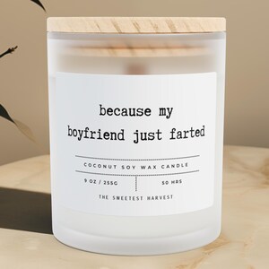 Funny Candle For Him Humorous Gift for Friend Present For Partner Birthday Gift for Her Hilarious Present For Colleague