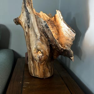 Wood table lamp