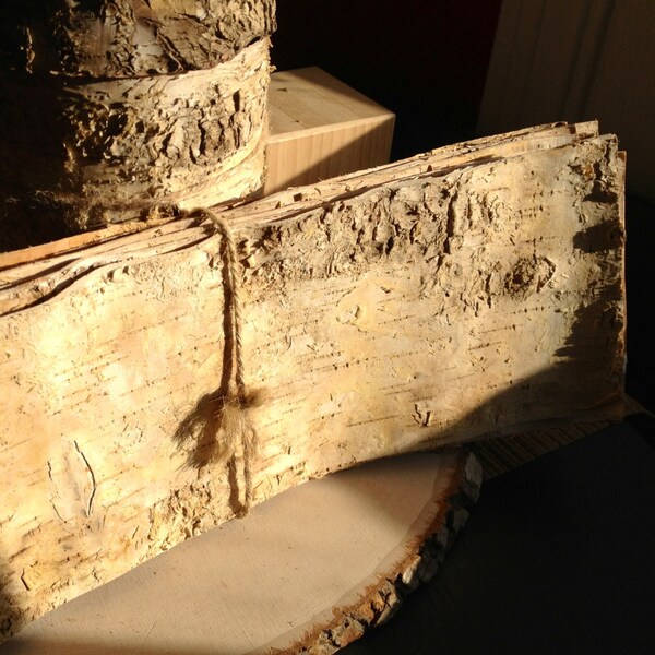 Birke Rinde Blatt (4,75 "h X 15" l) liefert ein Naturholz hinzufügen freuen überhaupt, crafty oder dekorative kleine Löcher & Kratzer