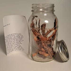 Pure Ozark Sassafras Root Kit