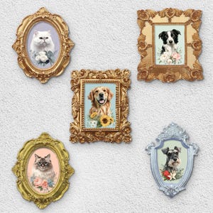Puede incluir: Conjunto de retratos enmarcados con marcos dorados y ornamentados, que representan mascotas. Incluyen un gato blanco, un Golden Retriever, un Border Collie y un Schnauzer, cada uno con detalles florales.