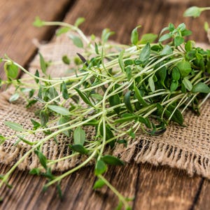 May include: A bunch of fresh green thyme sprigs with small, oval-shaped leaves and thin, light green stems. The herb features vibrant green foliage with some darker, brownish-green accents on the tips of the stems, showcasing a natural texture.