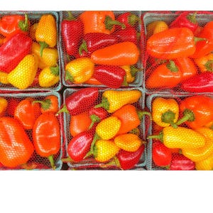 May include: A top-down view of six square baskets filled with colorful bell peppers. The peppers are red, orange, and yellow, and are contained in red mesh netting. The baskets are a light blue color.