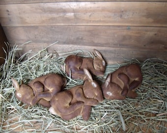 Modello primitivo di coniglio/coniglietti/modello primitivo di Pasqua/I miei coniglietti primitivi "NAP TIME" Download immediato
