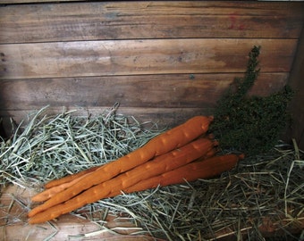 My Primitive FARMER'S CARROTS Instant Download pattern