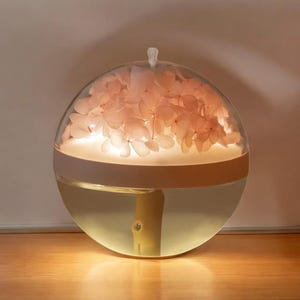 Luftbefeuchter, Öldiffusor, Schilfdiffusor, Blumen, Blumendiffusor, Aromatherapie, Luftreiniger, Stressabbau, Wohnkultur, Einweihungsgeschenk