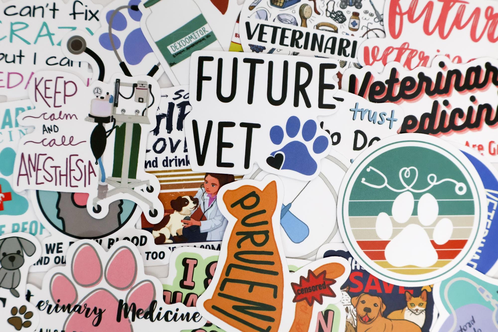 50PCS Veterinary Stickers Pack – Cute Vet Tech, Animal Care, Medical ...