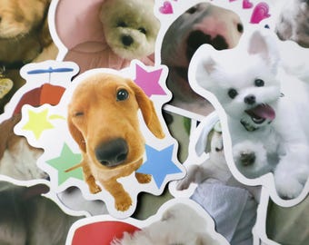 50PCS Funny Dog Meme Sticker Pack – Cute Cartoon Puppy Stickers for Laptop, Guitar, Water Bottle, Luggage Decoration