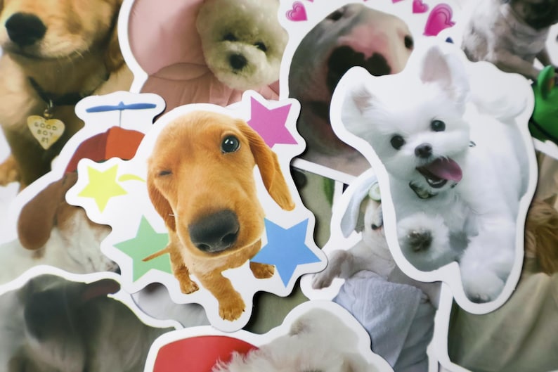50PCS Funny Dog Meme Sticker Pack – Cute Cartoon Puppy Stickers for ...