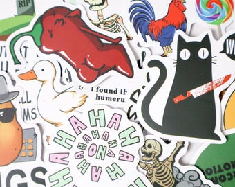 Paquete de 50 pegatinas de memes sarcásticos: vinilos con frases sarcásticas para laptop, guitarra, álbum de recortes, equipaje y botella de agua.