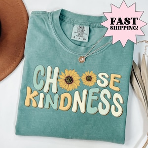 Comfort Colors Teacher Shirt,  Kindergarten Teacher Shirt, Kindness Shirt, New Teacher Shirt, Back to School Tee, Teacher Appreciation Gift,
