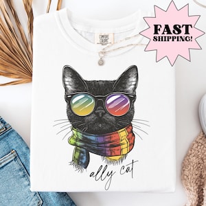Comfort Colors Pride Shirt, Gay Shirt, LGBTQ Shirt, Lesbian Shirt, Inclusive Shirt, Funny Shirt, Transgender Shirt, Equality Shirt, Ally Cat
