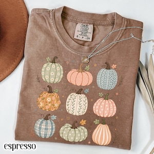 May include: A brown short-sleeve t-shirt featuring a graphic print of nine pumpkins in various colors and patterns, including floral, plaid, and heart designs. The shirt has a Comfort Colors brand label inside the collar and a crew neckline.