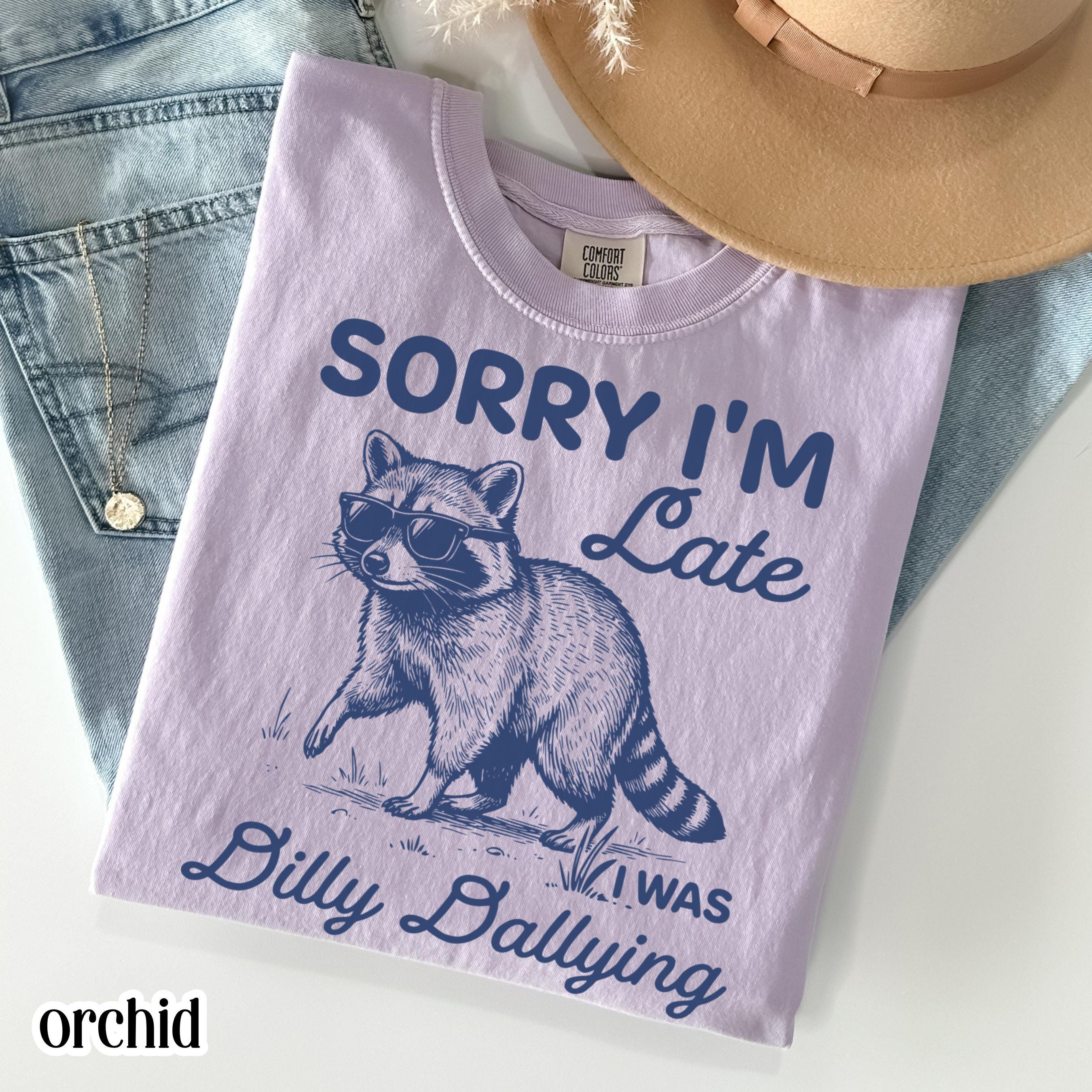超レア ミスチル桜井Lucky Raccoon ラッキーラクーン Tシャツ ラッキー