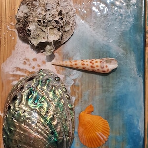 Natural Iridescent Abalone Shell - Home Decor, Jewelry Display, or Crafting Shell