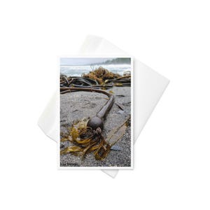 Botanisch strand, Brits-Columbia, blanco wenskaart, originele foto