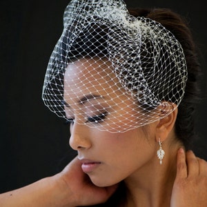 May include: A woman wearing a white birdcage veil with a delicate floral design. She is wearing a pair of dangling earrings with clear crystals.