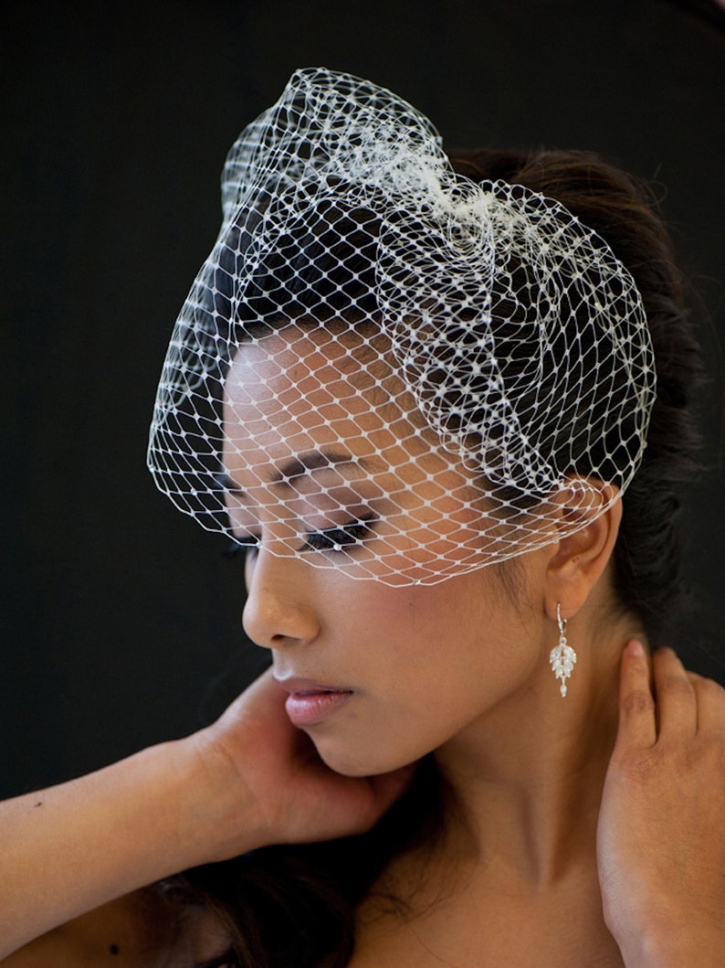 May include: A woman wearing a white birdcage veil with a delicate floral design. She is wearing a pair of dangling earrings with clear crystals.
