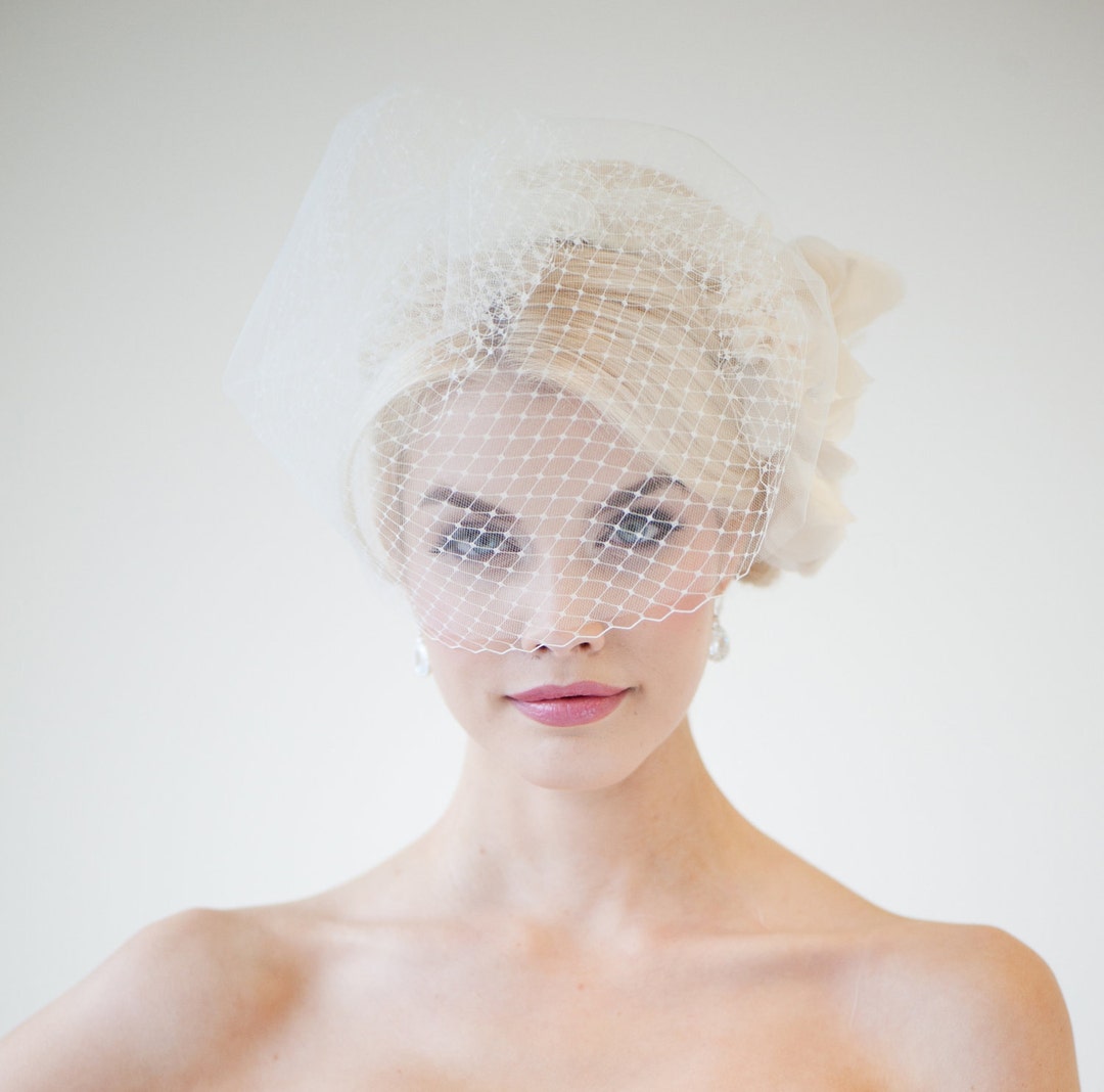 Wedding Birdcage Veil Double Birdcage Veil Bridal Veil Etsy