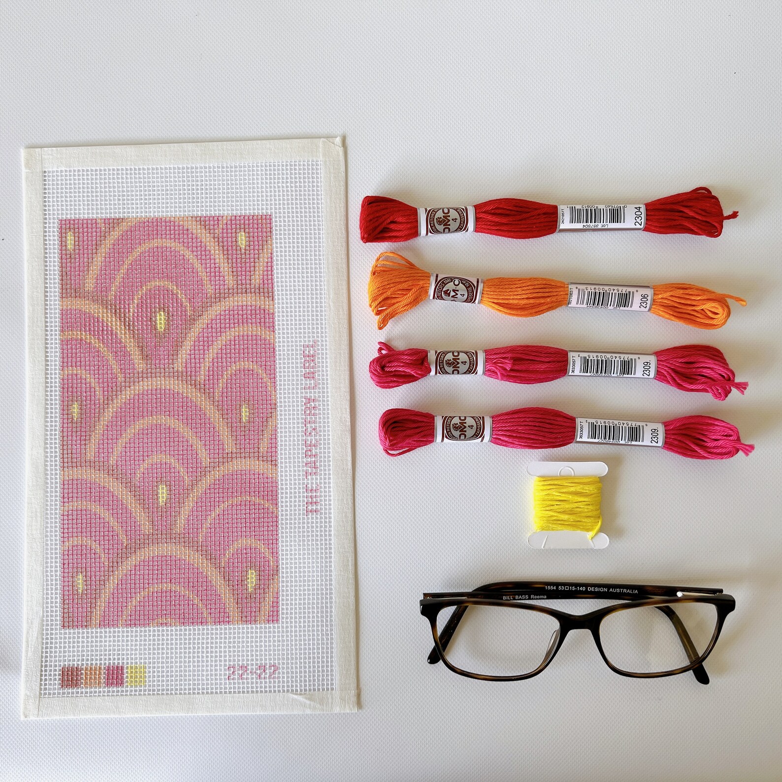 Modern Needlepoint / Tapestry Kit Eyeglass Case Complete Kit With DMC