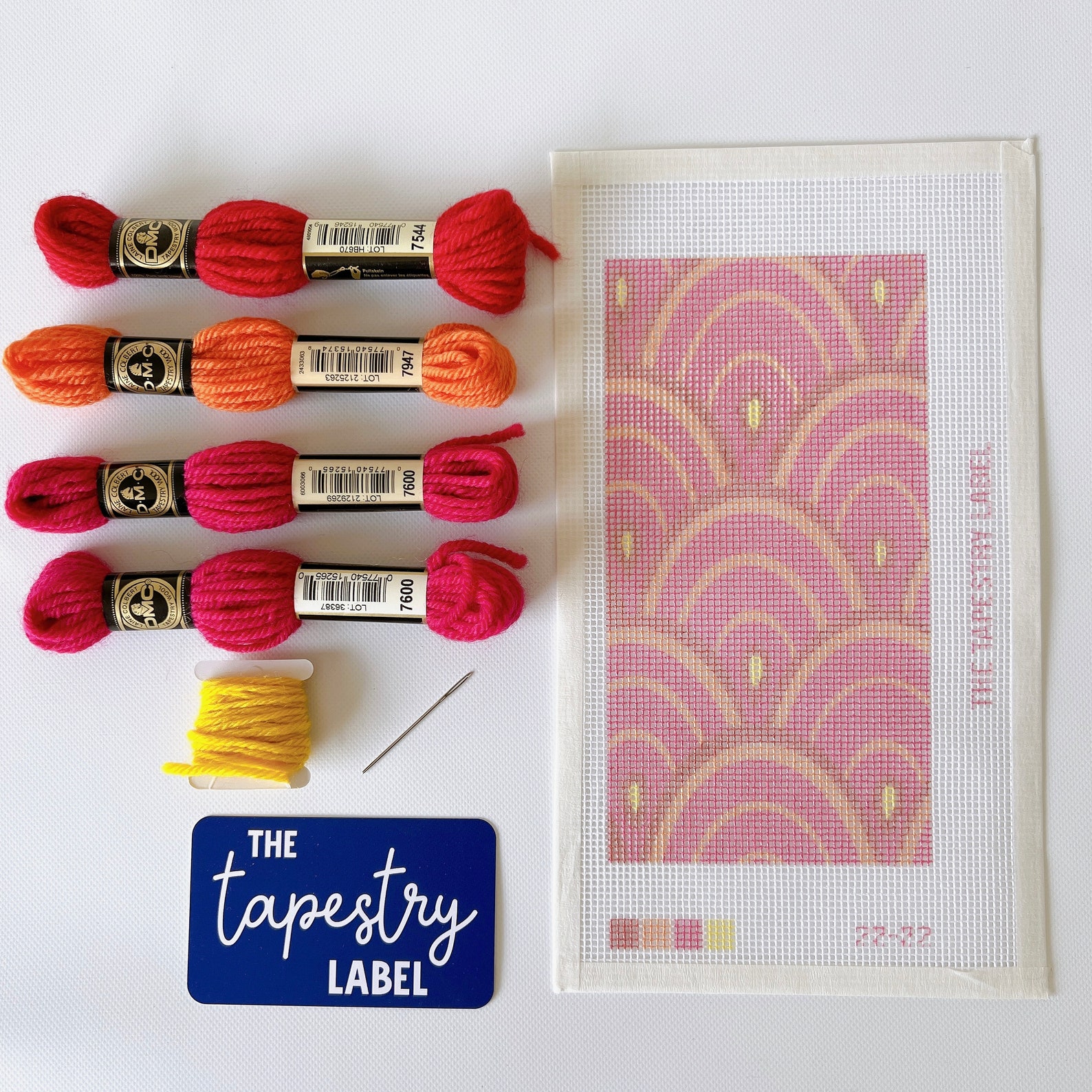 Modern Needlepoint / Tapestry Kit Eyeglass Case Complete Kit With DMC