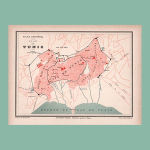 Mapa antiguo de Túnez (1877) / Pieza auténtica / 31 cm x 23,2 cm