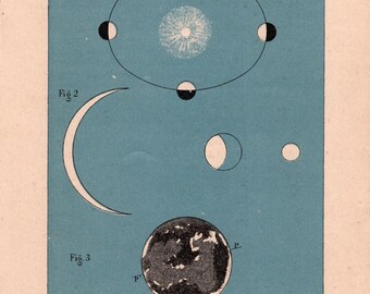 Antique Astronomy Plate – “Venus” – Venus’ Revolution around the Sun (1880)