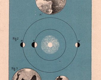Antique Astronomy Plate – “Mars” – Mars’ Revolution around the Sun (1880)
