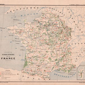 Carte ancienne des forêts françaises (1880) – Gravure originale - F. de La Brugère