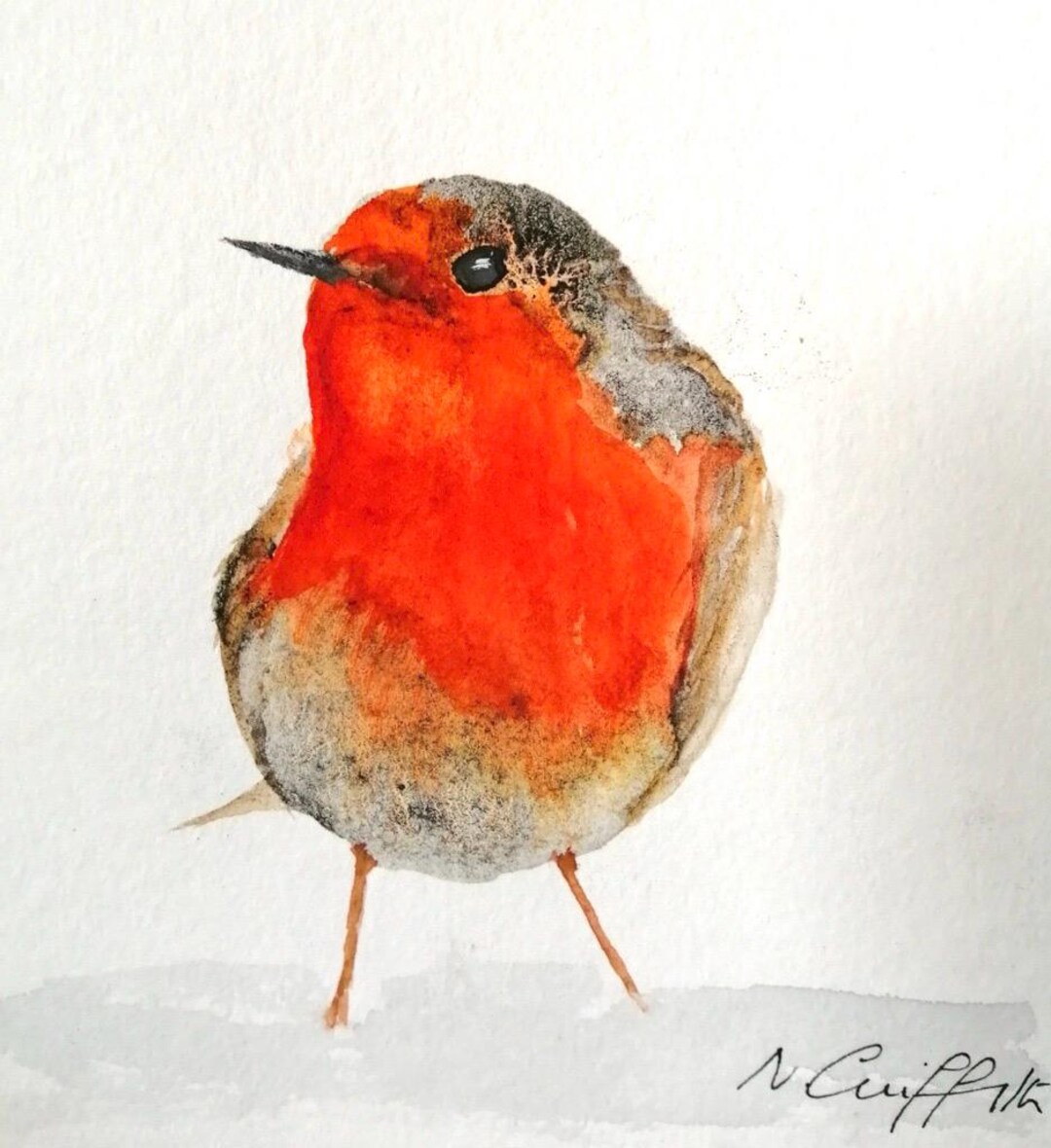 Robin – Liquid Charcoal & Watercolour (FRAMED) by Nikki Griffith - Etsy