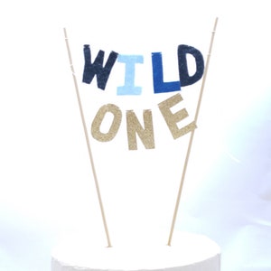 Blue WILD ONE Smash Cake Topper - Wild One Birthday Cake - Wild One Cake Topper - Ombre Blue First Birthday Boy