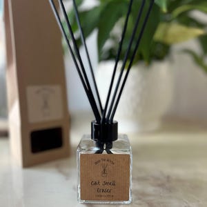 May include: A clear glass bottle diffuser with black reeds and a brown label that reads "Reed the Room Cat Smell Eraser Clean Cotton".