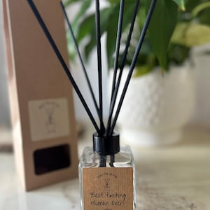 Best Fucking Human Ever Reed Diffuser - Vanilla. Positive Gift Friend Birthday Leaving Gift Celebration